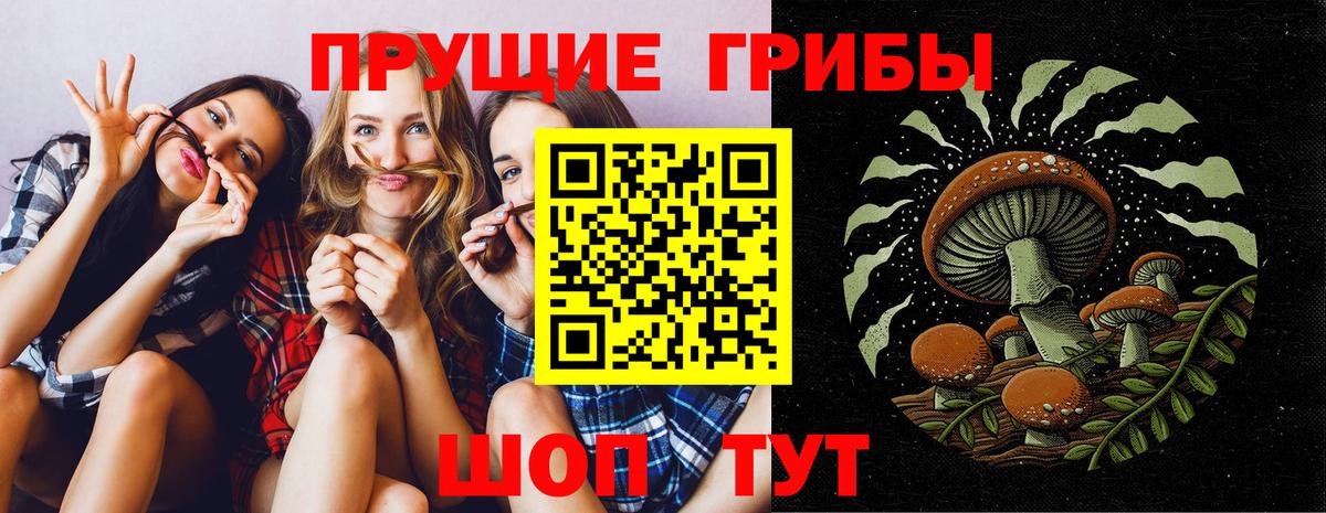 Галлюциногенные грибы мухоморы  Вход с VPN  Осинники 