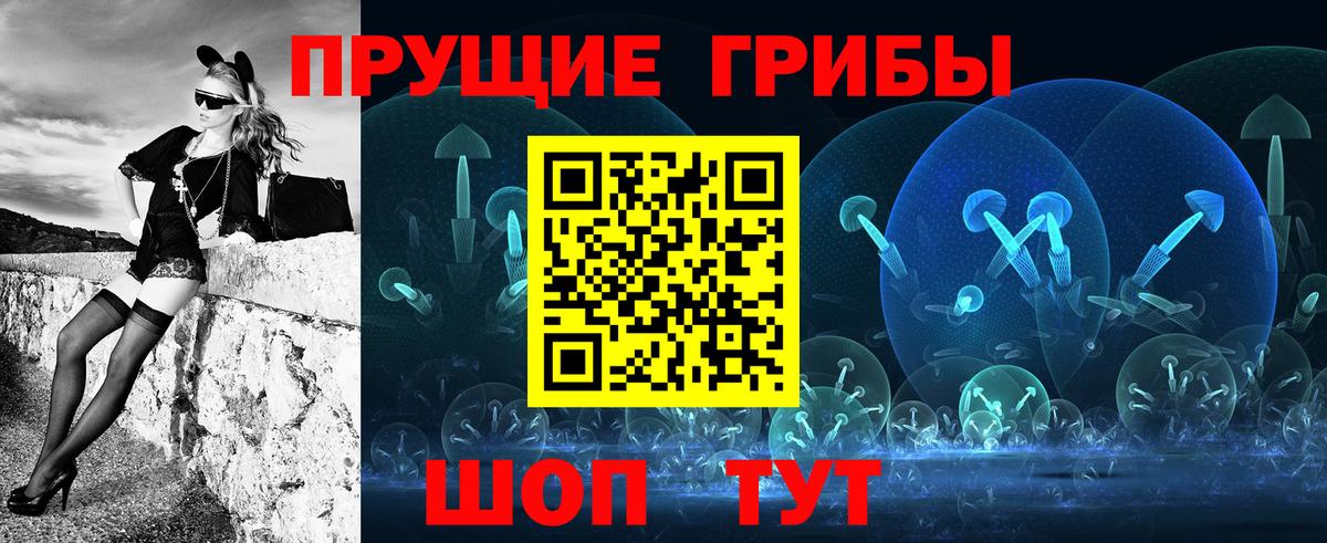 Галлюциногенные грибы Psilocybe Осинники